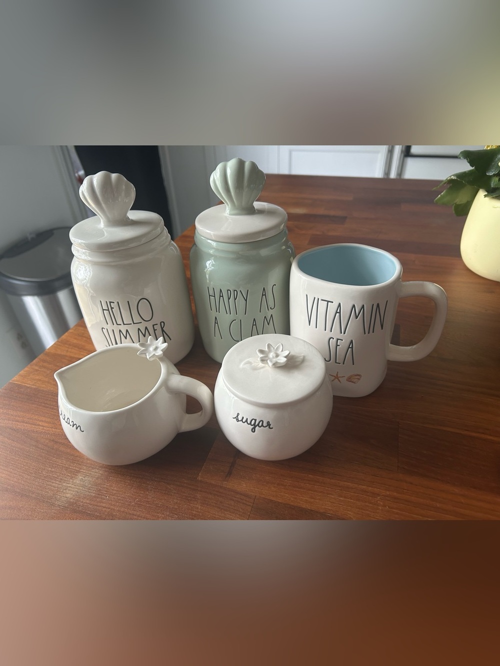 Rae Dunn summer decor lot
